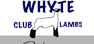 Whyte Club Lambs